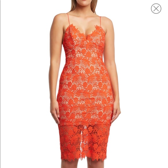 bardot tayla lace cocktail dress